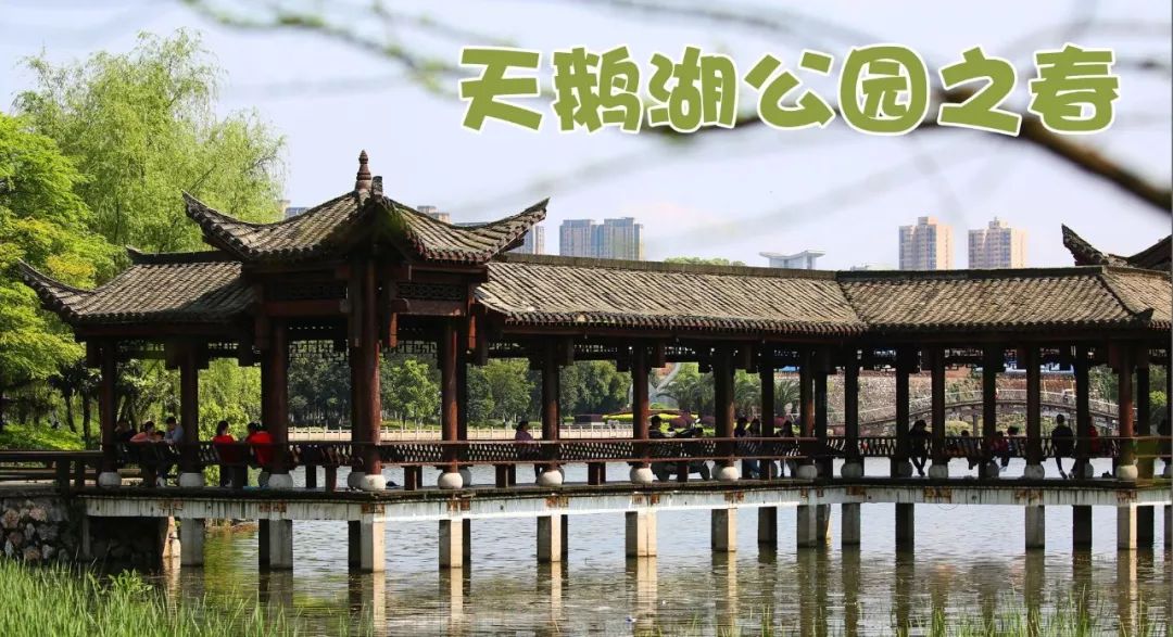 清水塘城市公园拟6月开建【要闻速览】